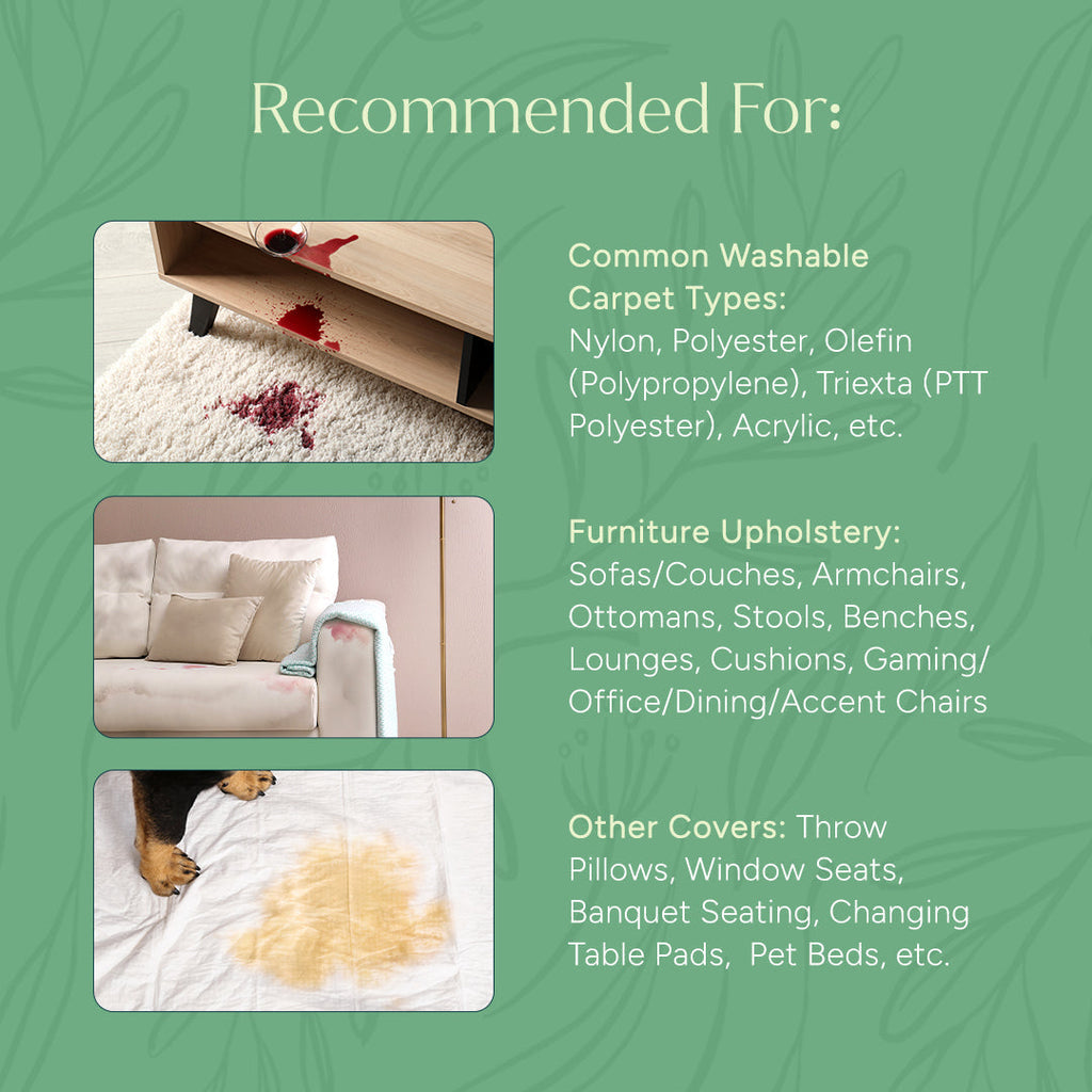 Carpet & Upholstery Shampoo